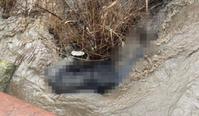 Lüleburgaz’da Taşköprü Altında Cansız Beden Bulundu: Olay Yeri İncelemesi Başlatıldı