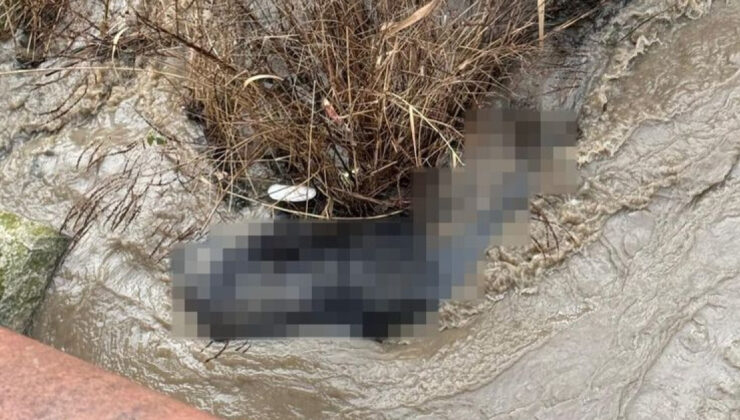 Lüleburgaz’da Taşköprü Altında Cansız Beden Bulundu: Olay Yeri İncelemesi Başlatıldı