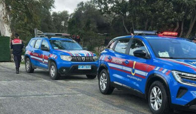 Bodrum’da Sokak Köpeklerini Öldüren Şüpheli Tutuklandı: C.Ö. Cezaevinde