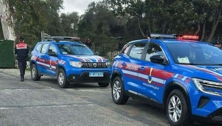 Bodrum’da Sokak Köpeklerini Öldüren Şüpheli Tutuklandı: C.Ö. Cezaevinde