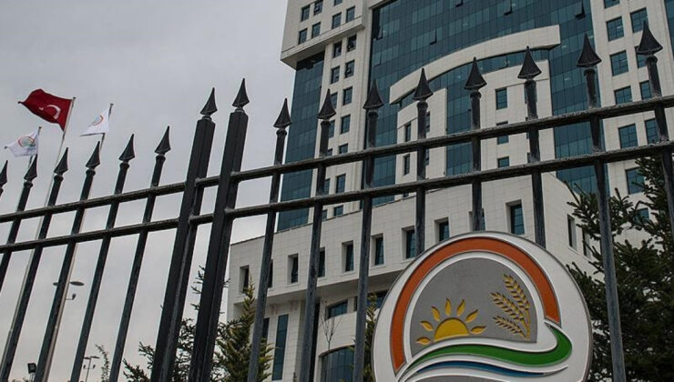 TİGEM’den Malatya’daki At Ölümü Olayına İlişkin Açıklama: Kayıp At Yok, Değer Abartılıyor