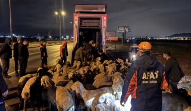 Kayseri’de Sağanak Sonrası Taşkın Riski: 200 Hayvan Tahliye Edildi