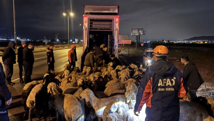 Kayseri’de Sağanak Sonrası Taşkın Riski: 200 Hayvan Tahliye Edildi