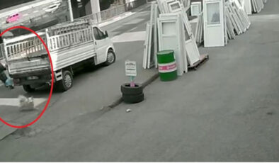 Trabzon’da Korkunç Kaza: Köpek Saldırısından Kaçan Üniversite Öğrencisi Otobüsün Altında Kaldı