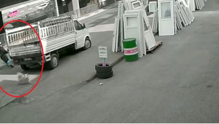 Trabzon’da Korkunç Kaza: Köpek Saldırısından Kaçan Üniversite Öğrencisi Otobüsün Altında Kaldı