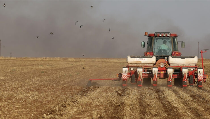 Tarımsal Girdi Fiyatları Aralık’ta Yükselişte: TÜİK Verileri ve Detaylar