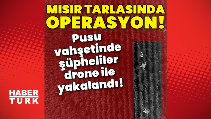 Şanlıurfa’da Pusu: Cinayet Şüphelileri Drone’la Mısır Tarlasında Yakalandı