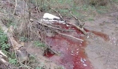 Ömerli Barajı’nı Tehdit Eden Kırmızı Kabus: Dereye Akan Kanlı Su Çevreyi Ayağa Kaldırdı