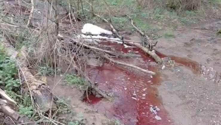 Ömerli Barajı’nı Tehdit Eden Kırmızı Kabus: Dereye Akan Kanlı Su Çevreyi Ayağa Kaldırdı