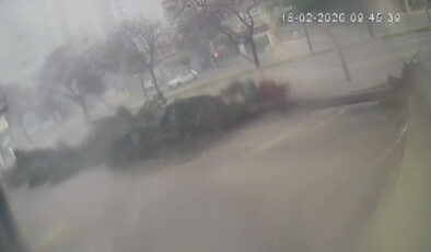 Adana Çukurova’da Fırtına Ağaçları Devirdi: Olay Anı Kamerada! Kaldırım Hasarı Vatandaşın Tepkisini Çekti