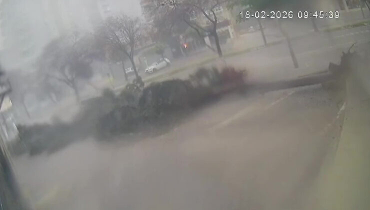 Adana Çukurova’da Fırtına Ağaçları Devirdi: Olay Anı Kamerada! Kaldırım Hasarı Vatandaşın Tepkisini Çekti