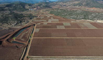 Yargıtay’dan Ortak Tapulu Arsalara Emsal Karar: Ön Alım Hakkı ve Fiili Taksimin Önemi