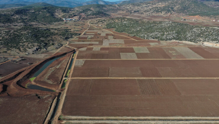Yargıtay’dan Ortak Tapulu Arsalara Emsal Karar: Ön Alım Hakkı ve Fiili Taksimin Önemi