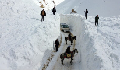 Van’da Zorlu Kış Koşulları: Başkale’de Çığ Tehlikesiyle Mücadele