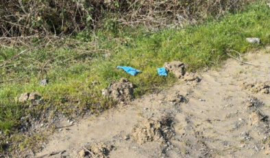 İstanbul’da Kayıp Olarak Aranan Çinli İş İnsanı Yong Wang Cinayete Kurban Gitti: 10 Şüpheli Çin’de Yakalandı