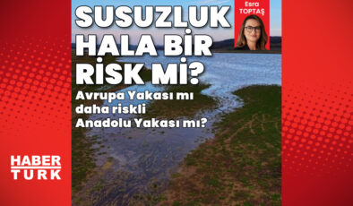 İstanbul’da Susuzluk Tehlikesi Sürüyor mu? Uzmanlardan Kritik Uyarılar