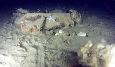 THY’nin ‘Bursa’ Uçağı Enkazında Yeni Gelişmeler: Alüminyum Parçalar Bulundu, Anıt Mezar Başvurusu Yapıldı