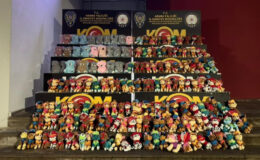 Adana’da Gümrük Kaçağı Oyuncak Operasyonu: 1515 Oyuncak Ele Geçirildi, 2 Gözaltı