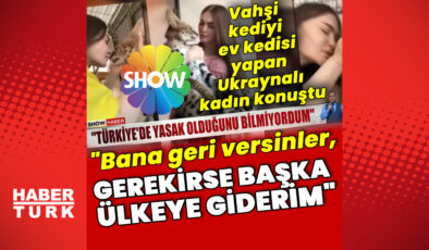 Serval Kedi Simba’nın Sahibi Konuştu: “Onu Geri İstiyorum, Gerekirse Ülke Değiştiririm!”