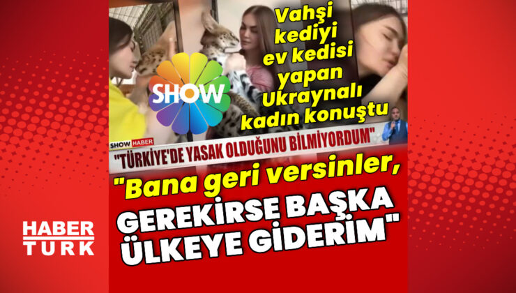 Serval Kedi Simba’nın Sahibi Konuştu: “Onu Geri İstiyorum, Gerekirse Ülke Değiştiririm!”