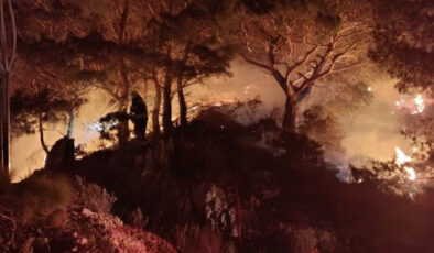 Balıkesir’de Orman Yangını Söndürüldü: 2 Dönümlük Alan Zarar Gördü, F-16 Kazasında Pilot Şehit