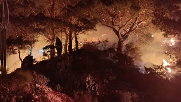 Balıkesir’de Orman Yangını Söndürüldü: 2 Dönümlük Alan Zarar Gördü, F-16 Kazasında Pilot Şehit