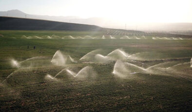 İklim Değişikliği Tarımı Tehdit Ediyor: TÜGİS’ten Gıda Arz Güvenliği Uyarısı