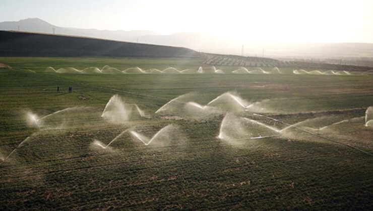 İklim Değişikliği Tarımı Tehdit Ediyor: TÜGİS’ten Gıda Arz Güvenliği Uyarısı