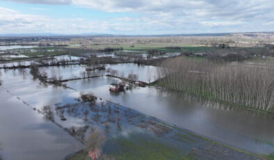 Meriç ve Tunca Nehirlerinde Taşkın Sonrası Durum: Su Seviyeleri Geriliyor, Çalışmalar Devam Ediyor