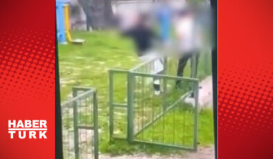 Bodrum’da Akran Zorbalığı: Genç Yaşta Şiddet Görüntüleri Sosyal Medyada Tepki Çekti