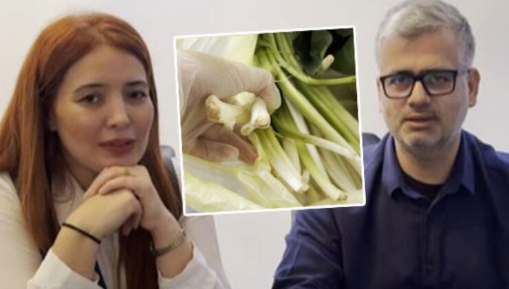 Doktor Çift Pazı Yerine Zehirli Ot Yiyince Korku Dolu Anlar Yaşadı: Tirşik Zehirlenmesi!