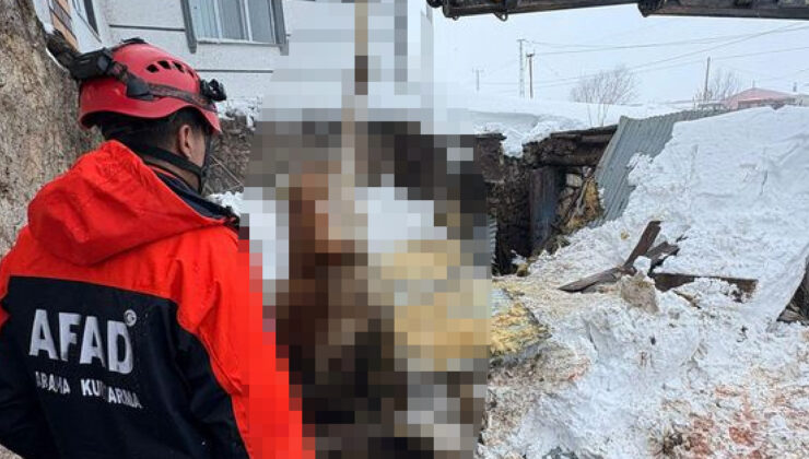 Kars’ta Yoğun Kar Yağışı Hayatı Felç Etti: Ahır Çökmesi Sonucu 4 Büyükbaş Hayvan Telef Oldu