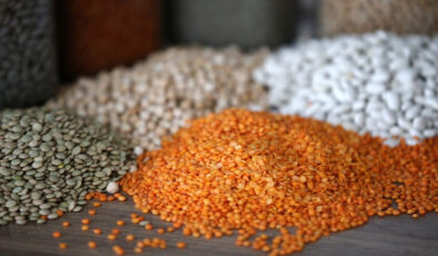 Türk Gıda Devi Ocak Ayında 1 Milyar Dolara Yaklaşan İhracatla Rekora Koşuyor: Rusya’dan Gelen Yeni Tehditler ve Geleceğe Yönelik Stratejiler