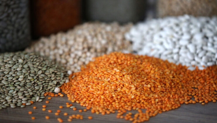 Türk Gıda Devi Ocak Ayında 1 Milyar Dolara Yaklaşan İhracatla Rekora Koşuyor: Rusya’dan Gelen Yeni Tehditler ve Geleceğe Yönelik Stratejiler