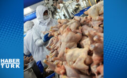 Ramazan Öncesi Tavuk Krizine El Konuldu: İhracat Durduruldu, Fiyatlar Dengelenecek!