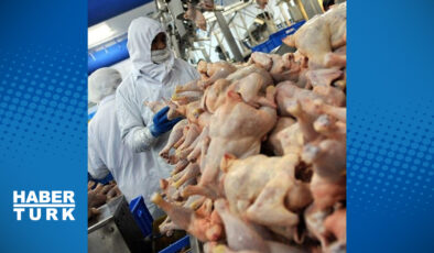 Ramazan Öncesi Tavuk Krizine El Konuldu: İhracat Durduruldu, Fiyatlar Dengelenecek!