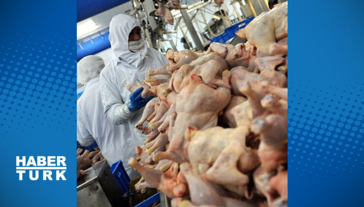 Ramazan Öncesi Tavuk Krizine El Konuldu: İhracat Durduruldu, Fiyatlar Dengelenecek!