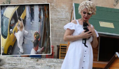 Mardin’de Köpeğe Çarpan Taksiciyle Yaşananlar: ‘Marilyn Monroe’dan Ceza, Uzlaşma Talebi ve Cezaevi Süreci