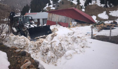 Ordu’da Çığ Felaketi: Ahşap Ev Hasar Gördü, Can Kaybı Yok