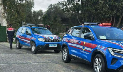 Bodrum’da Köpek Katliamına Tepki: Zanlıya Yeniden Tutuklama Talebi