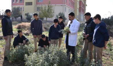 Üniversite Öğrencileri Artık Sahada: Yeni Yönetmelikle Uygulamalı Eğitim Dönemi Başlıyor!