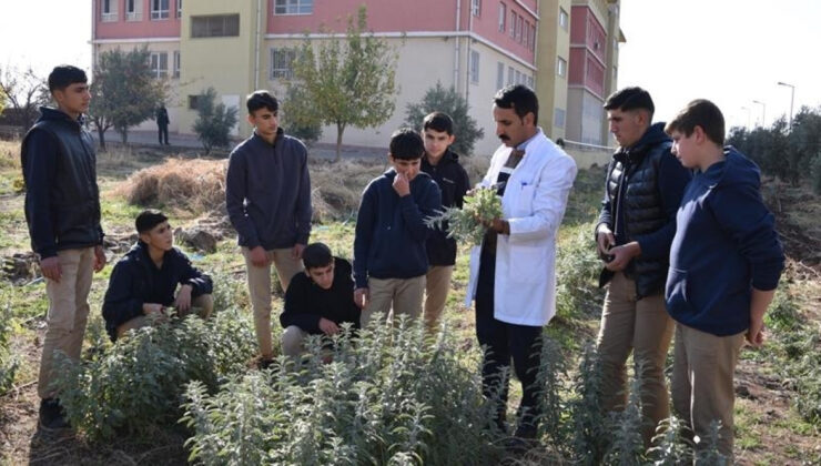 Üniversite Öğrencileri Artık Sahada: Yeni Yönetmelikle Uygulamalı Eğitim Dönemi Başlıyor!