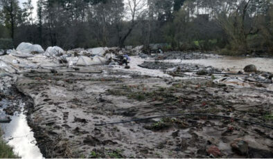 Muğla’da Sel Felaketinin Bilançosu Ağırlaşıyor: Binlerce Dekar Tarım Arazisi Zarar Gördü