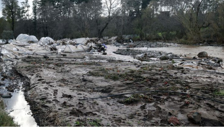 Muğla’da Sel Felaketinin Bilançosu Ağırlaşıyor: Binlerce Dekar Tarım Arazisi Zarar Gördü