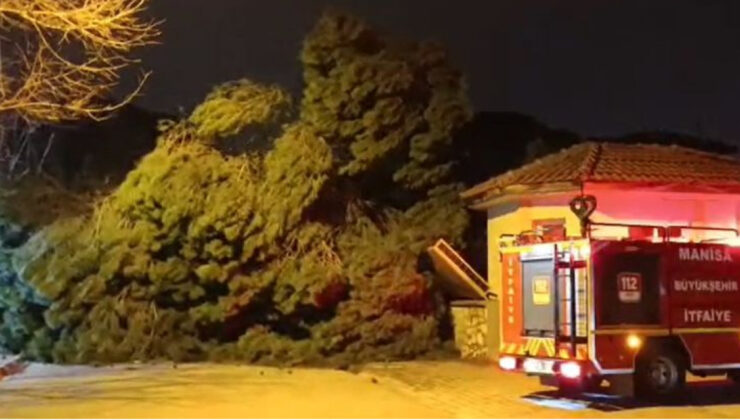 Manisa’da Şiddetli Fırtına Hayatı Olumsuz Etkiledi: Minare Devrildi, Ulaşım Aksadı