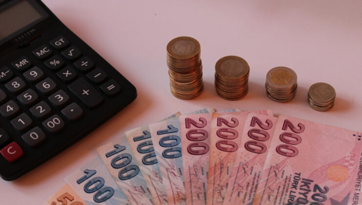 Otomatik Katılımdan Tamamlayıcı Emekliliğe Geçişte Yeni Gelişmeler: TES Ne Zaman Hayata Geçecek?