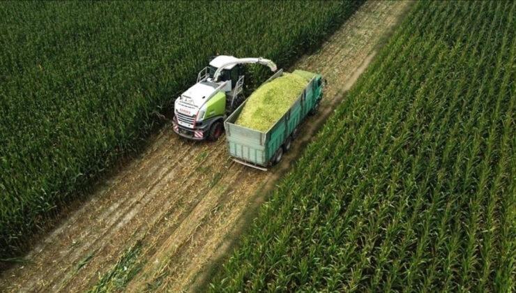 Tarımsal Üretici Fiyatları Ocak Ayında Yükselişte: TÜİK Verileri Açıklandı