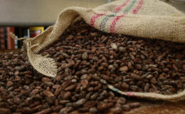 Türkiye’nin Kakao İhracatı Rekor Kırdı: 1.7 Milyar Dolarlık Gelir Elde Edildi