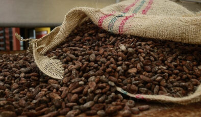 Türkiye’nin Kakao İhracatı Rekor Kırdı: 1.7 Milyar Dolarlık Gelir Elde Edildi