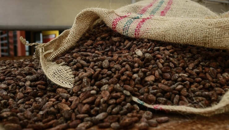 Türkiye’nin Kakao İhracatı Rekor Kırdı: 1.7 Milyar Dolarlık Gelir Elde Edildi